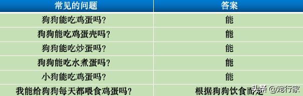 狗可以吃鸡蛋吗为什么,狗吃蛋壳
