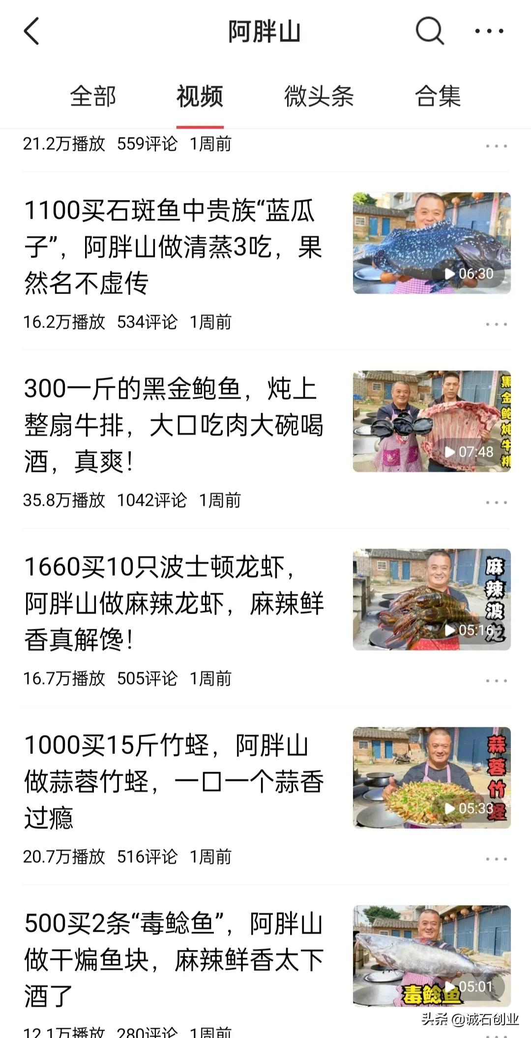 美食自媒体前十名,美食自媒体创业视频教程