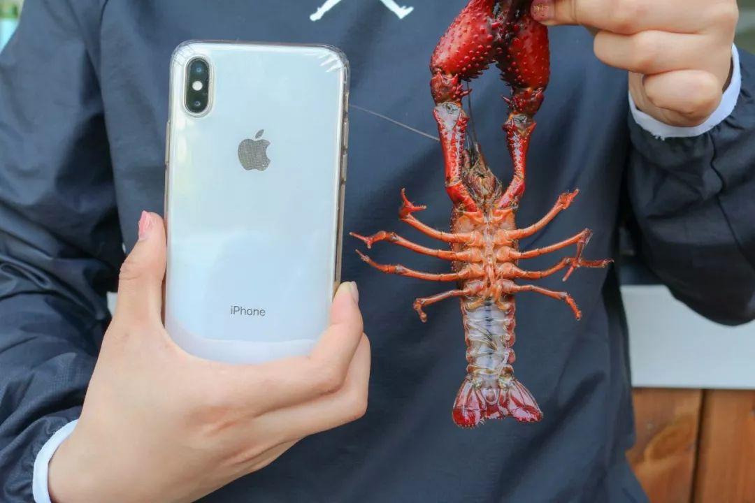 宜春潜江小龙虾,宜春潜江龙虾