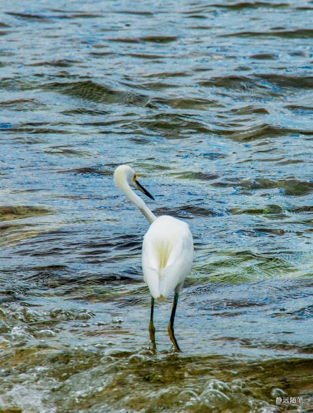 加勒比海邮轮旅行香港,加勒比海游轮旅行视频大全