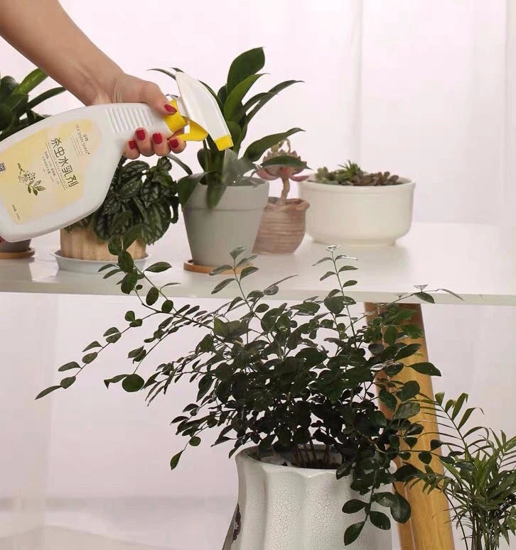 自制杀虫水家庭养花,自制杀虫水用醋