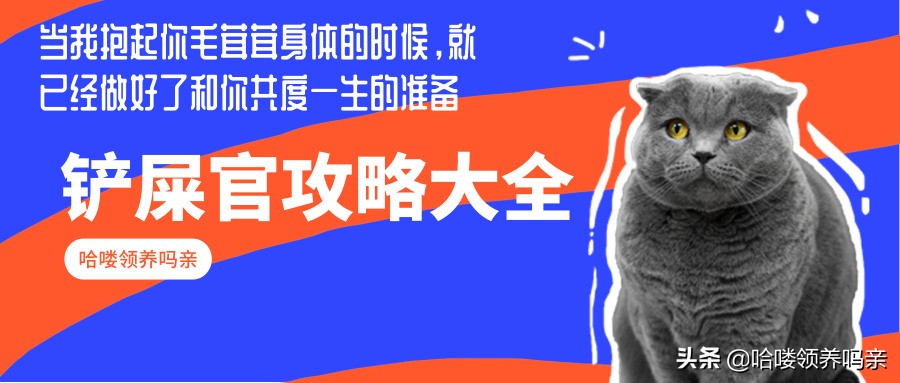 猫咪闭尿十有八九，如此常见的疾病，竟然和宠物情绪有关？