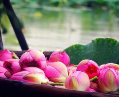 有一种苍凉的美是葱绿配桃红,葱绿配桃红汉服