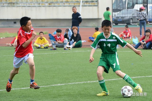 山东校园足球建设,省政府表扬山东泰山足球队