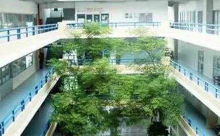 泰国留学医学院推荐,泰国留学专业推荐