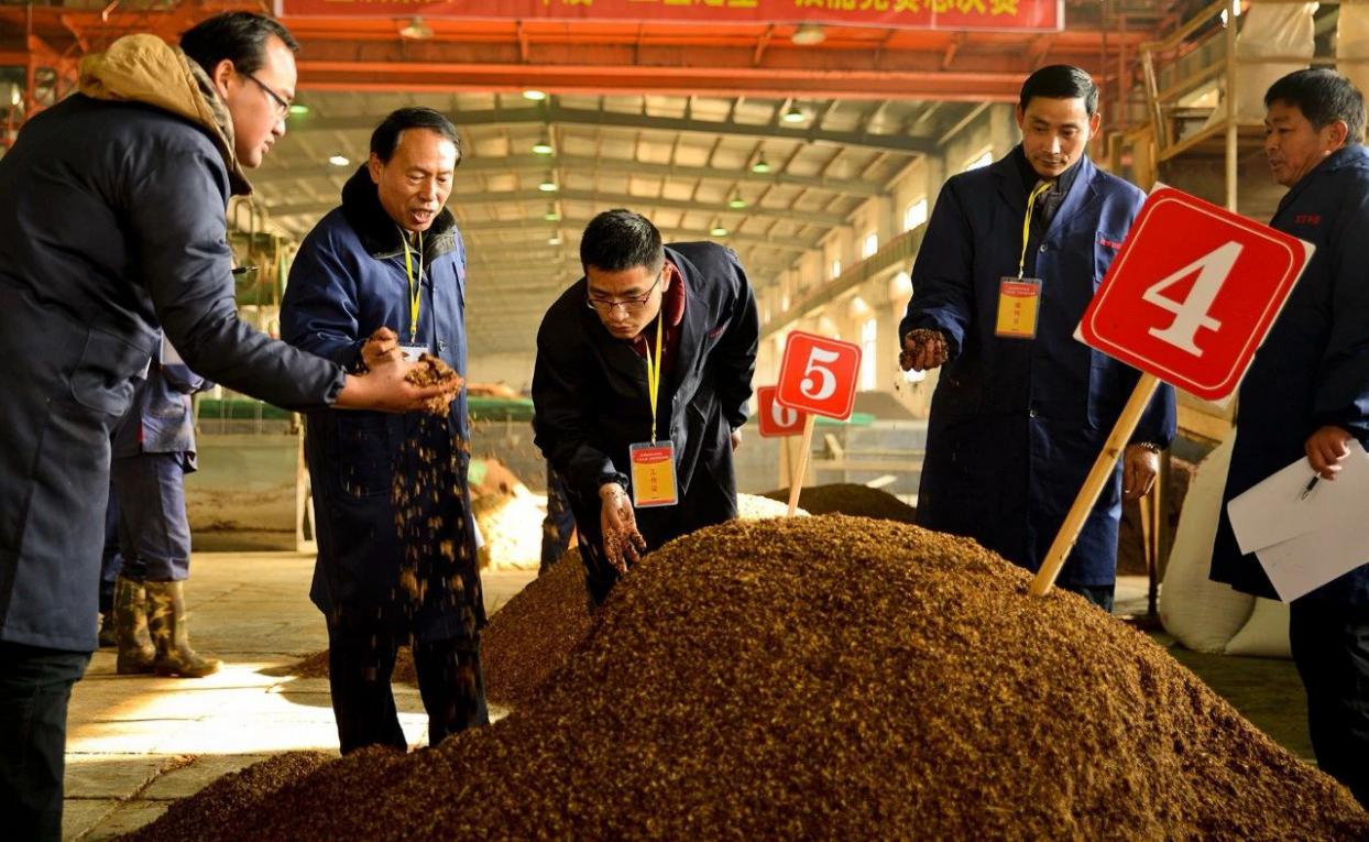 宣酒荣获白酒青酌奖,宣酒6有几个版本