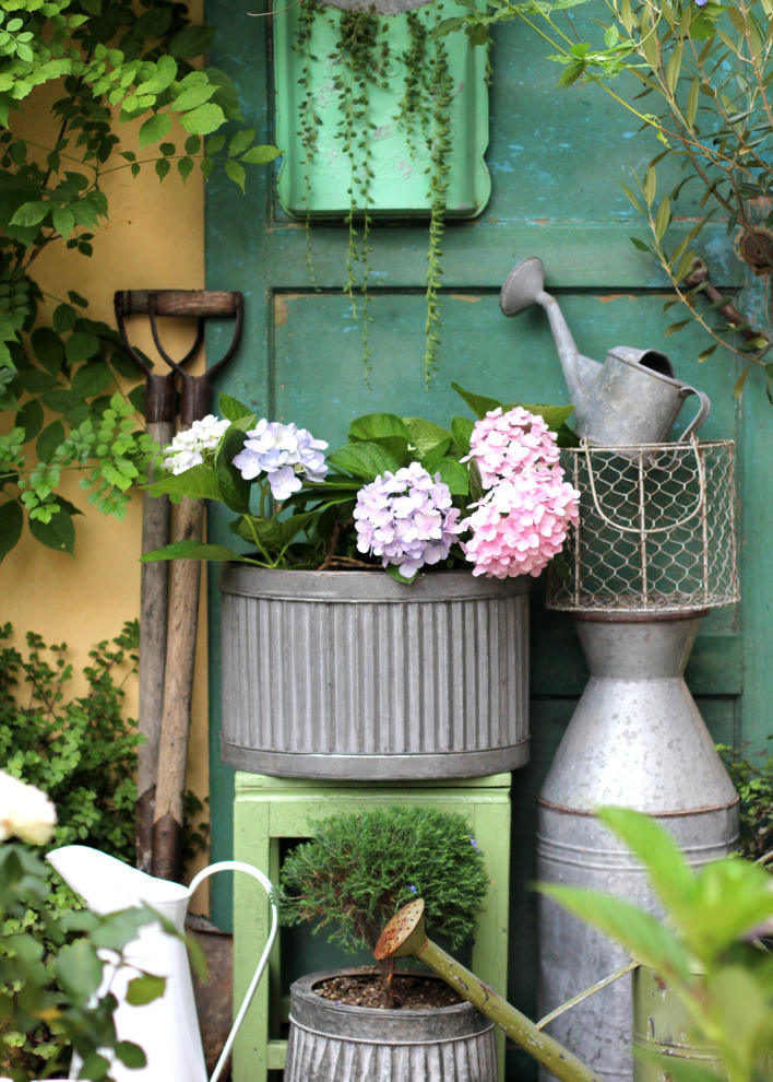 一个重度搪瓷爱好者的杂货花园