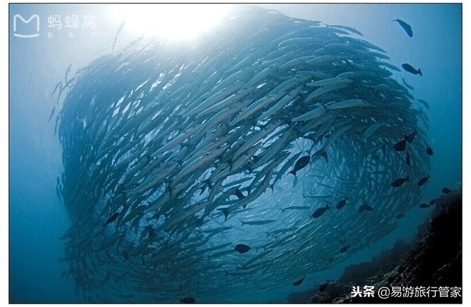 沙巴亚庇和仙本那的区别,沙巴经典必游10个景点