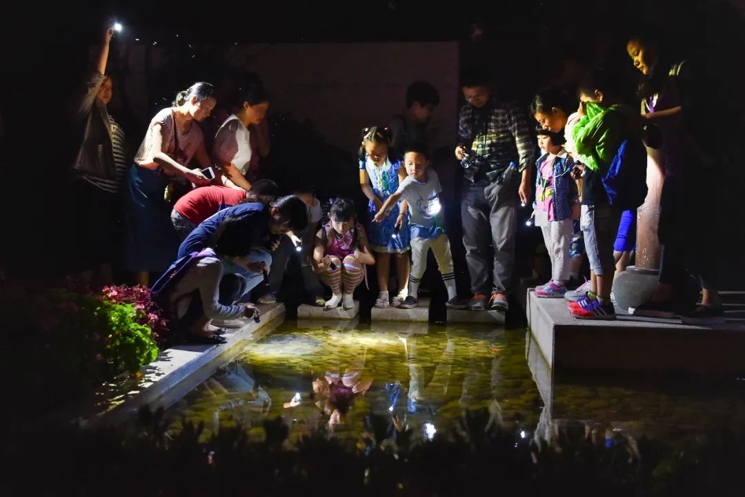 武康路旅游咨询服务中心,上海武康路旅游全攻略