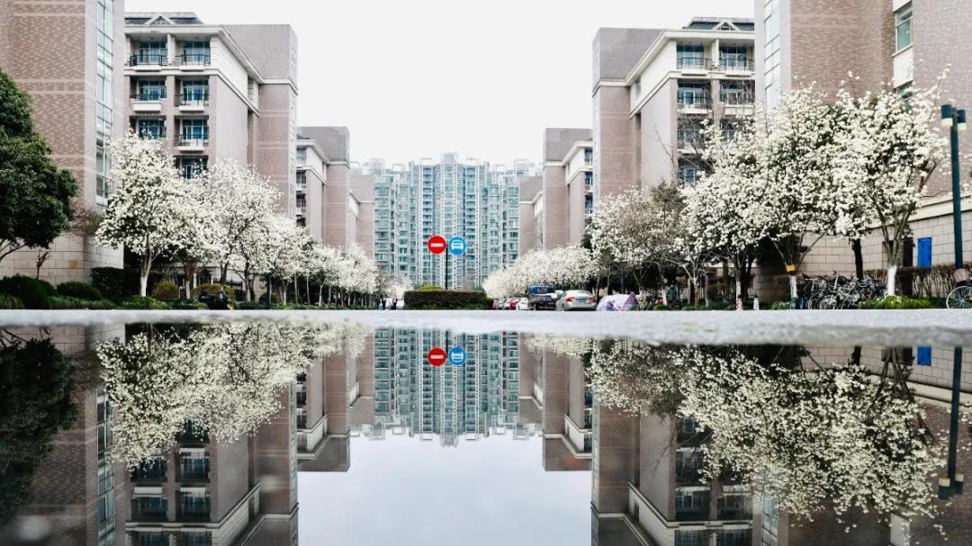 杭州美职学校风景,杭州美丽学校评选