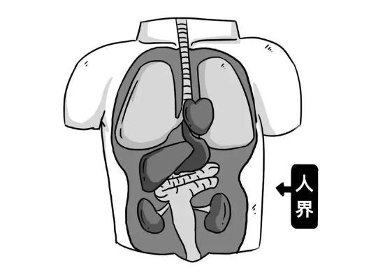 痔疮的奇闻故事,有关痔疮的经典故事