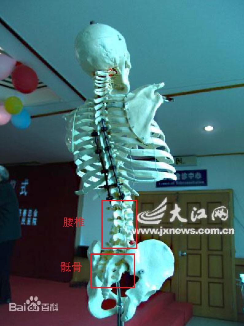 电脑椅选布的还是皮的,电脑椅选电竞椅还是人工椅