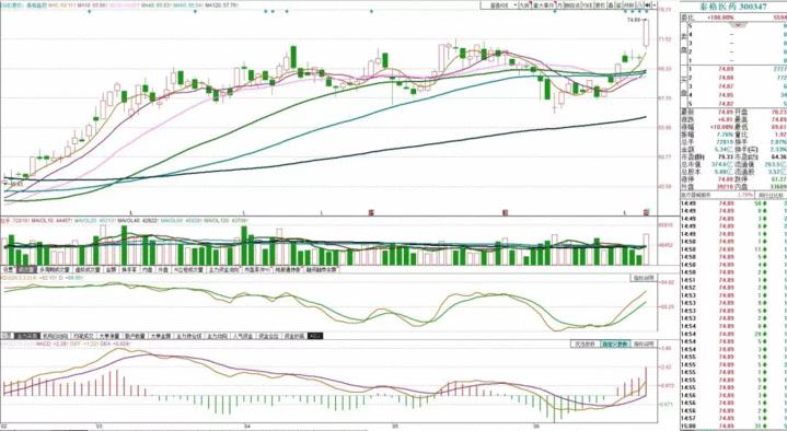 股市目前看什么板块,当前股市怎么看