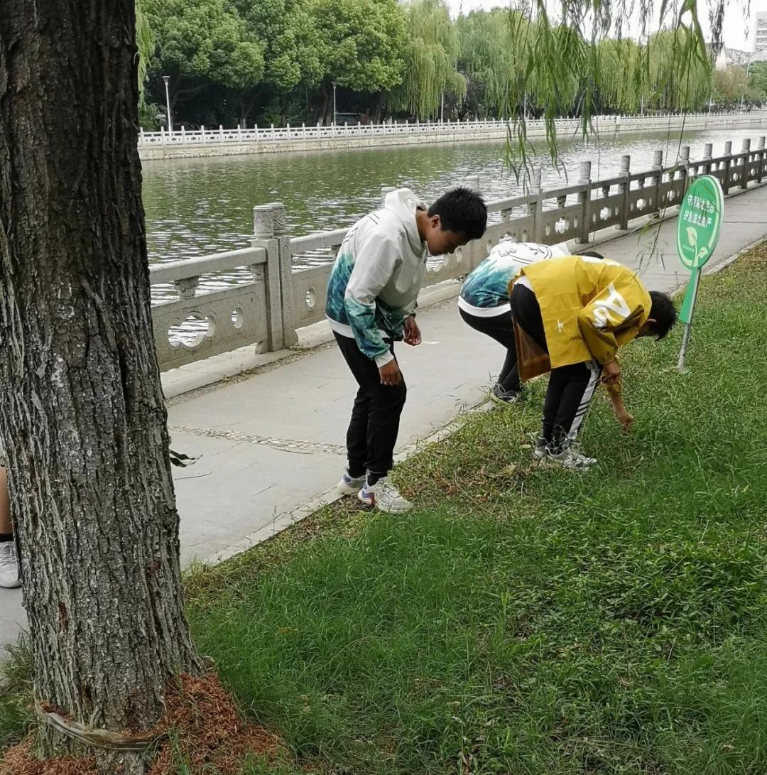 文明清风新吴有礼|梅里中学：弘扬时代精神，绽放文明之花