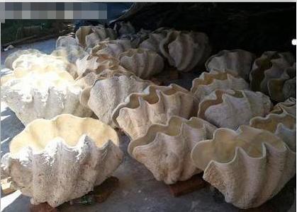 到国外旅游如何过海关,出国旅游避坑攻略海关