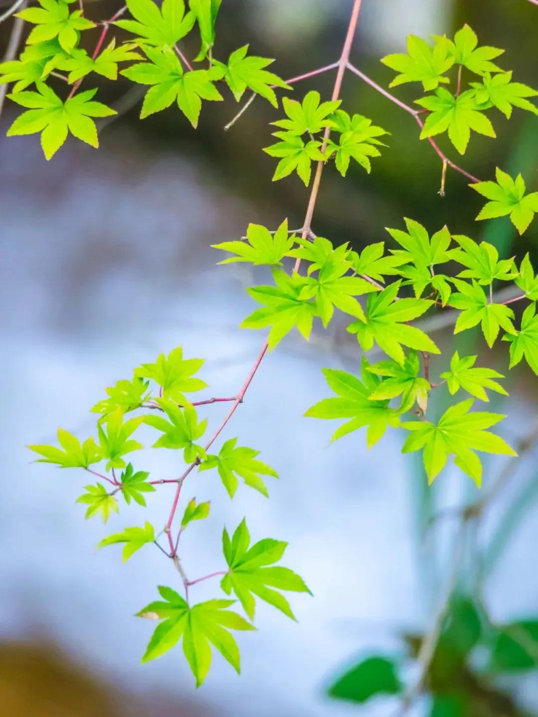 腾龙70-180镜头怎么选,富士xt200镜头该怎么选