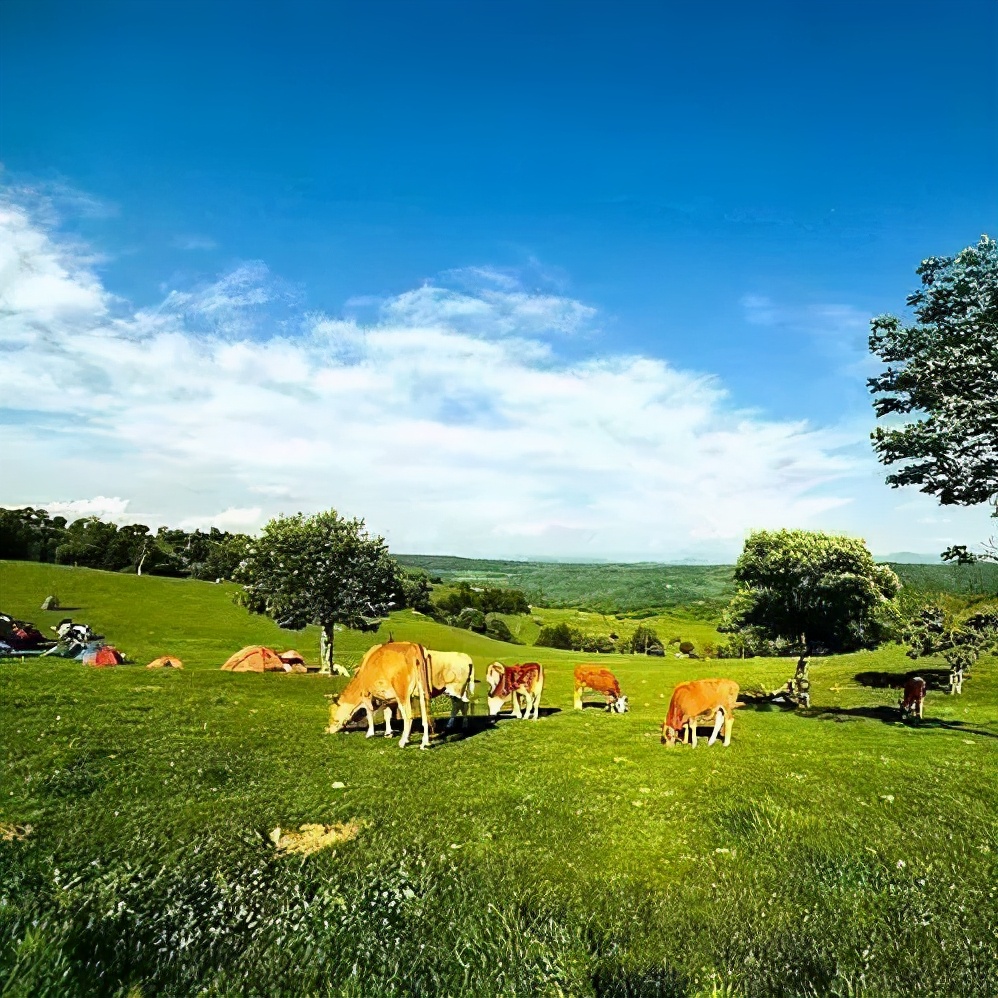 五一旅游如何去长白山,白山市4天旅游攻略