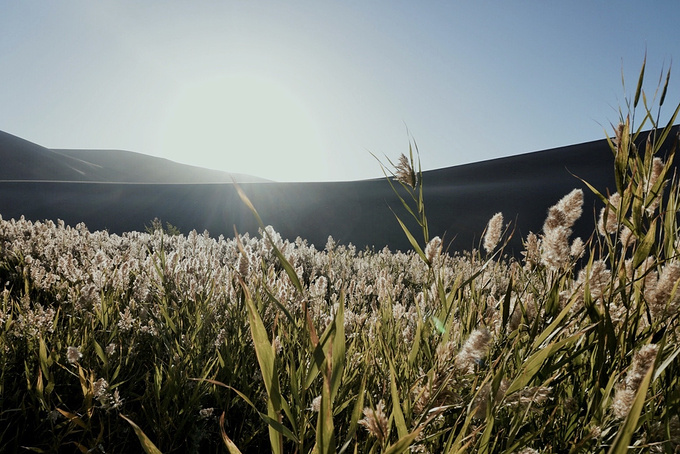 去一趟大西北的旅行,大西北旅行青藏高原