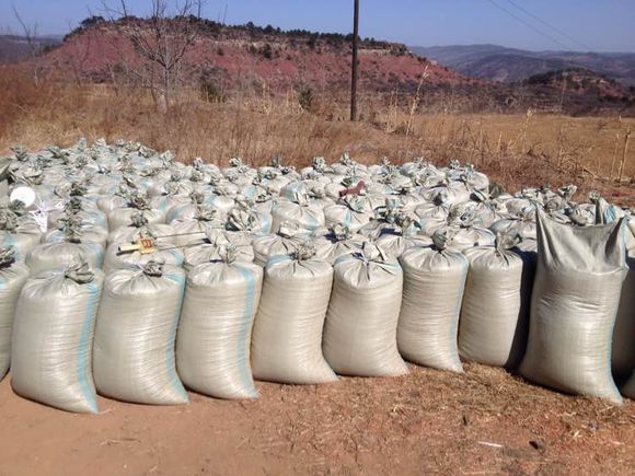 农民农村创业小项目,农民工返乡创业种植项目