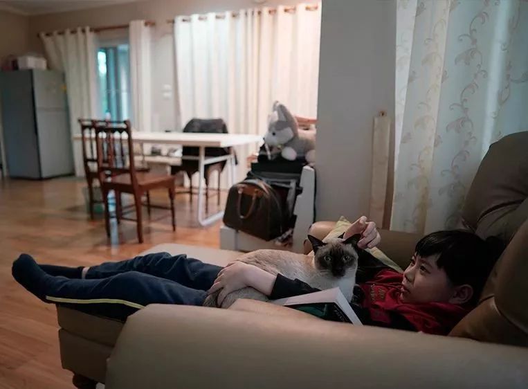 泰国国际学校教育质量,泰国的国际教育学院