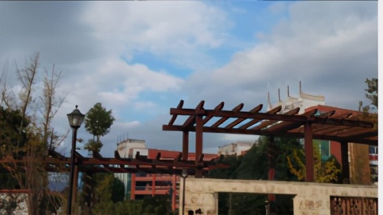 女大学生背后的惊天秘密,卑微女大学生的真实生活