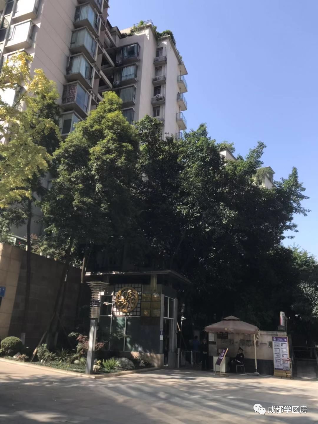 成师附小分校有哪些,成师附小哪个分校最好