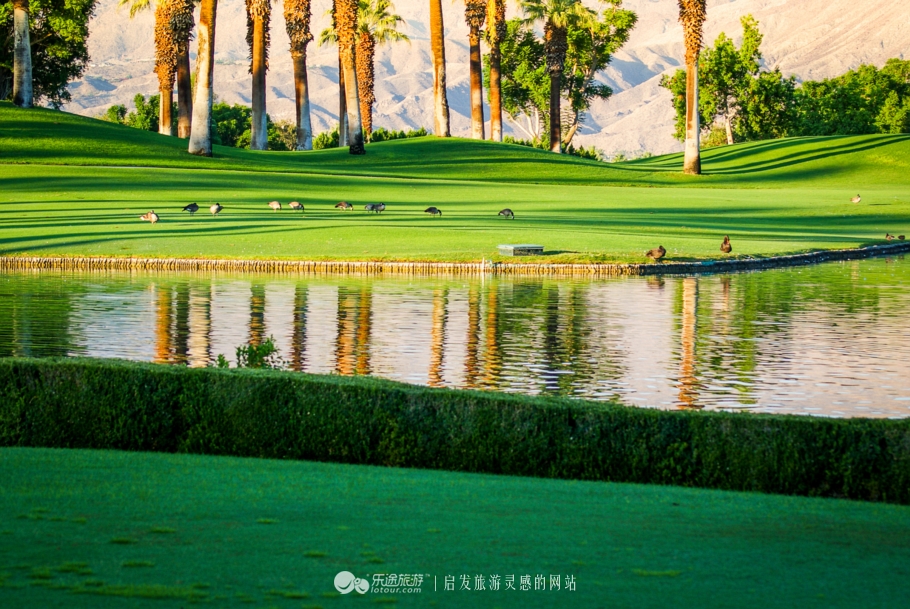 奥巴马卸任以后做什么工作,奥巴马卸任后做什么