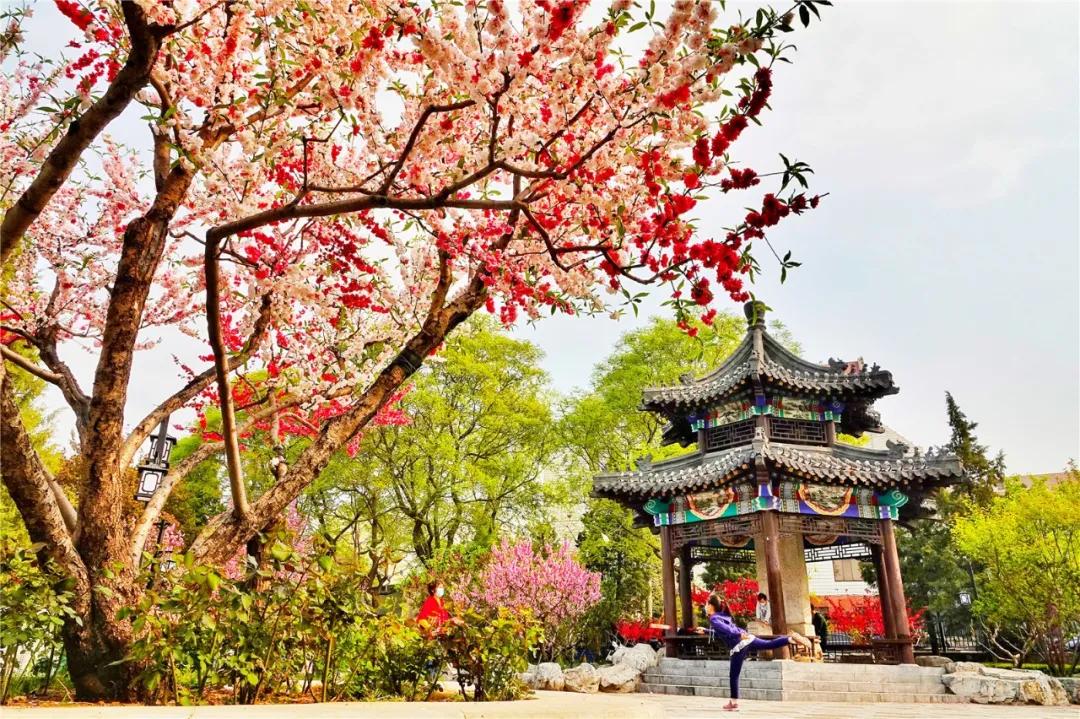 四月发生的事,东城发生的事