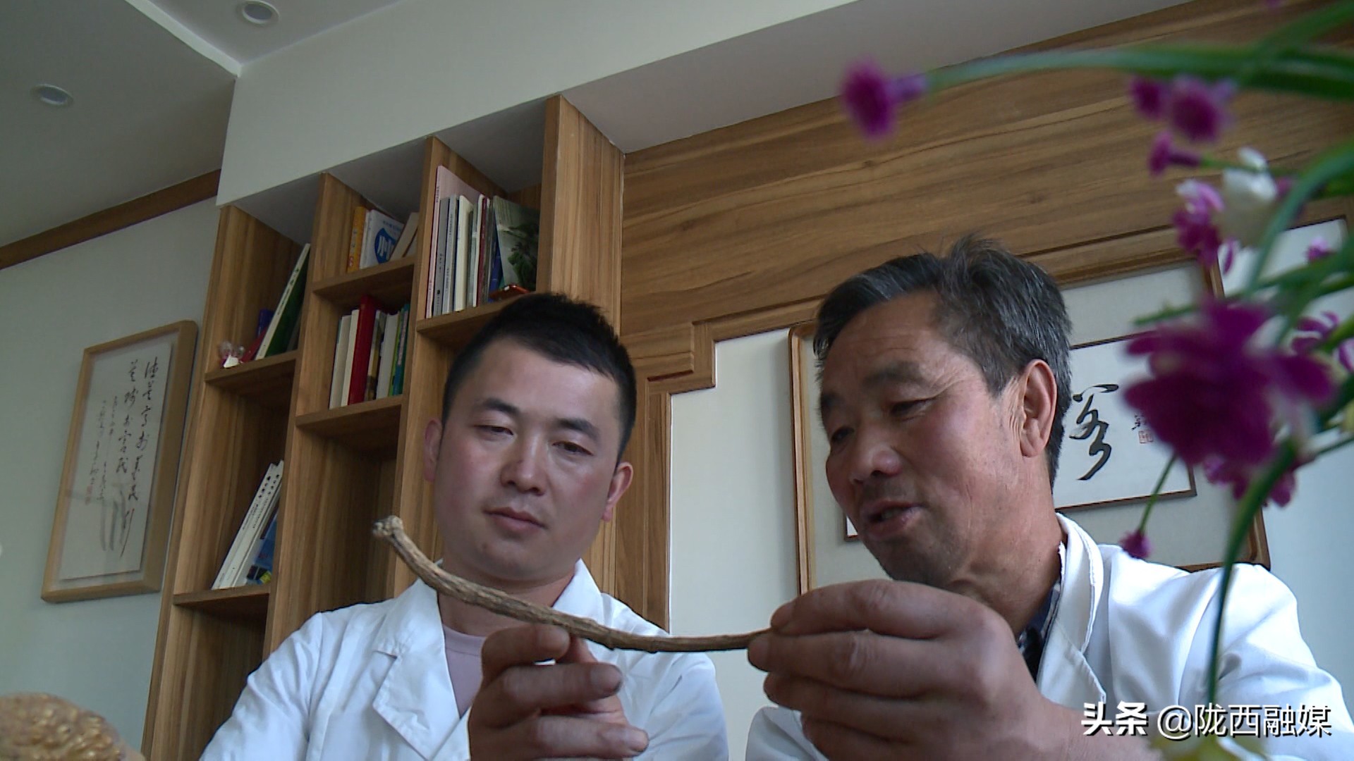 刘氏针灸：传承国医特色