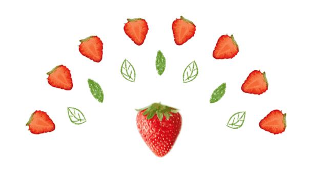 大连草莓有哪些,大连草莓哪家新鲜