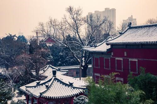 草长莺飞二月天拂堤杨柳醉春烟,草长莺飞二月天拂堤杨柳醉春眠