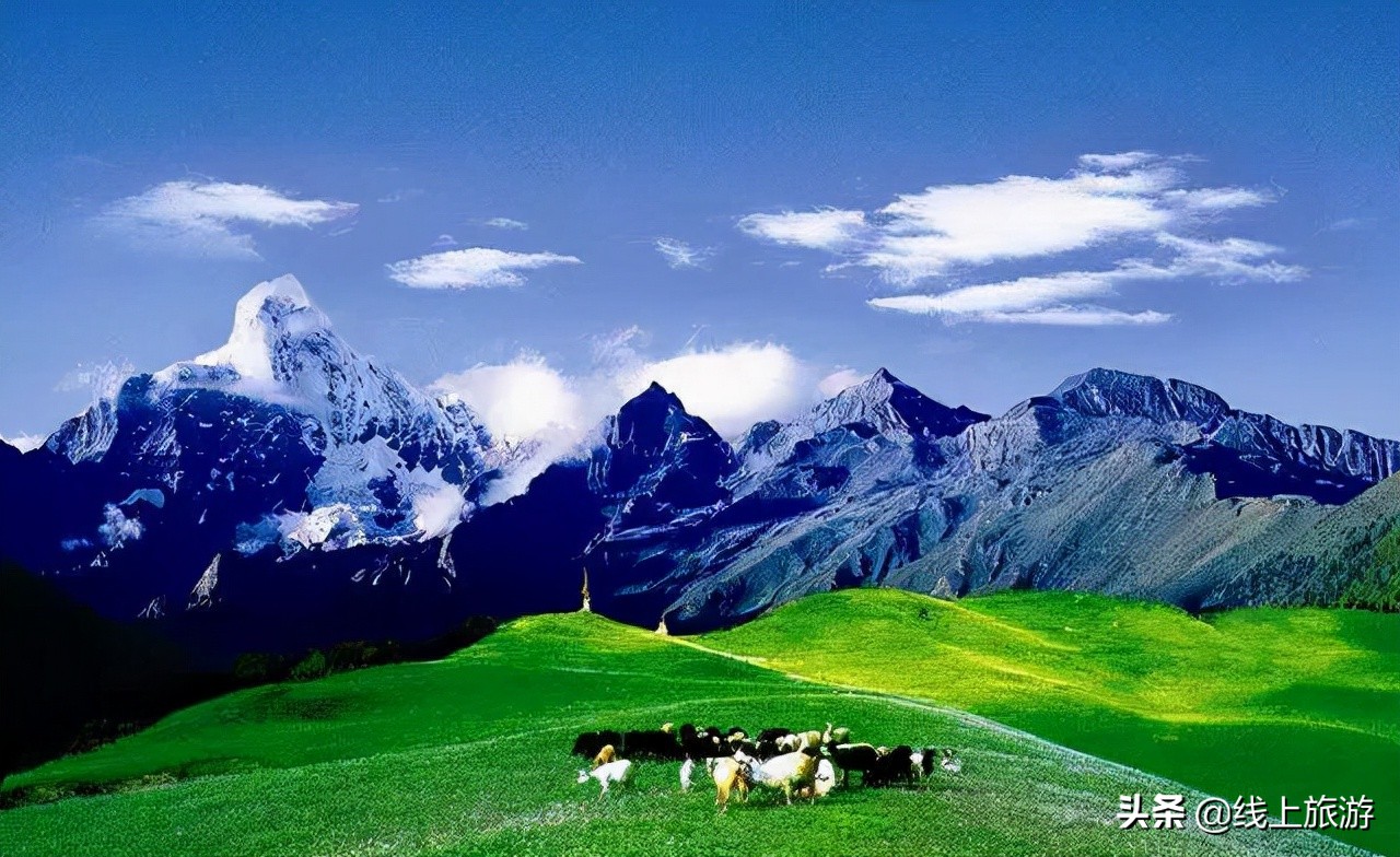 四川省内五一冷门车少路线,四川五一雅安冷门自驾游