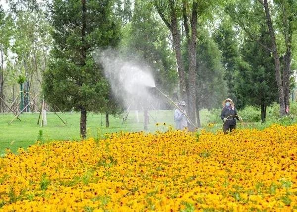 好消息北京石景山八角新乐园,好消息北京朝阳