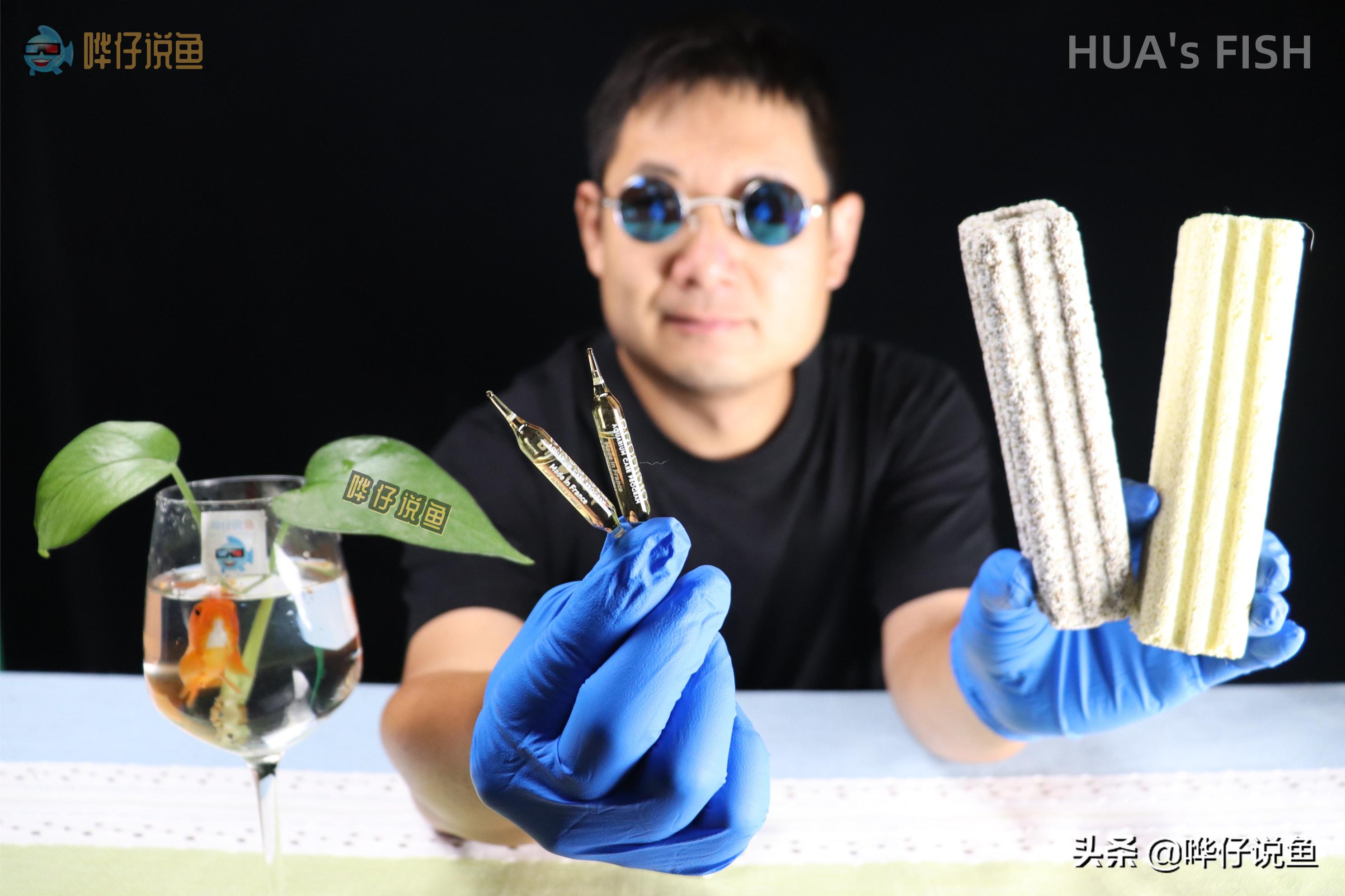 观赏鱼养好的基本条件,养观赏鱼都需要注意哪些事项