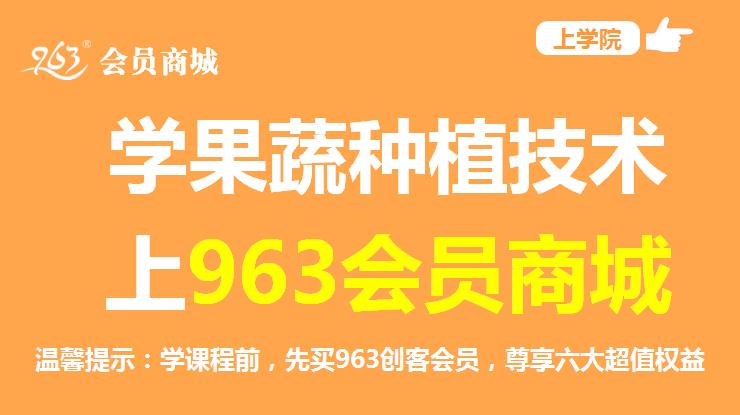 种植创业项目的愿景,种植行业创新创业