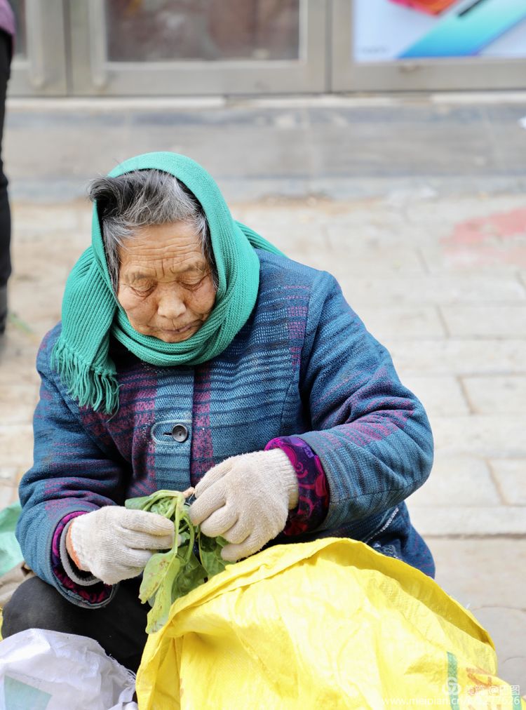 100张洛阳美女照片,100张洛阳女人图片