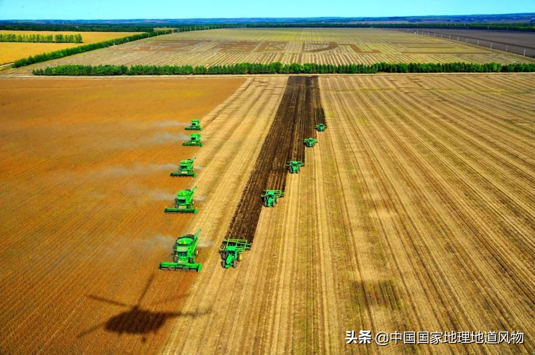 黑龙江和山东谁是农业大省,黑龙江和河南谁是第一粮仓