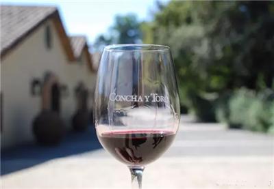 一百块买车厘子还是苹果,公认好喝的智利葡萄酒