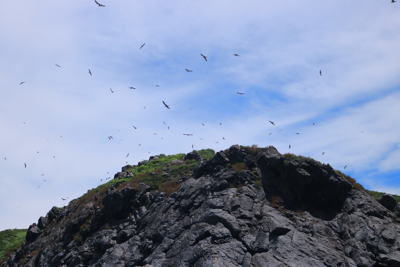 南澳岛看海完整版,南澳岛看海解读