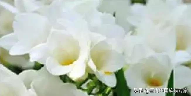 居尚中天健,居尚中天健广场