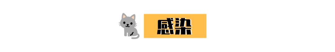 冬天宝宝皮肤粗糙颗粒状像鸡皮痒,猫咪肉垫上有个硬硬的是什么东西