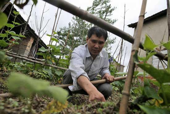 一位作家的写作历程,一位作家的真实经历