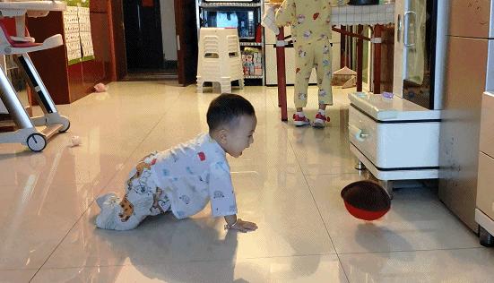 2岁宝宝扫地机器人,5000元内扫地机器人测评排行