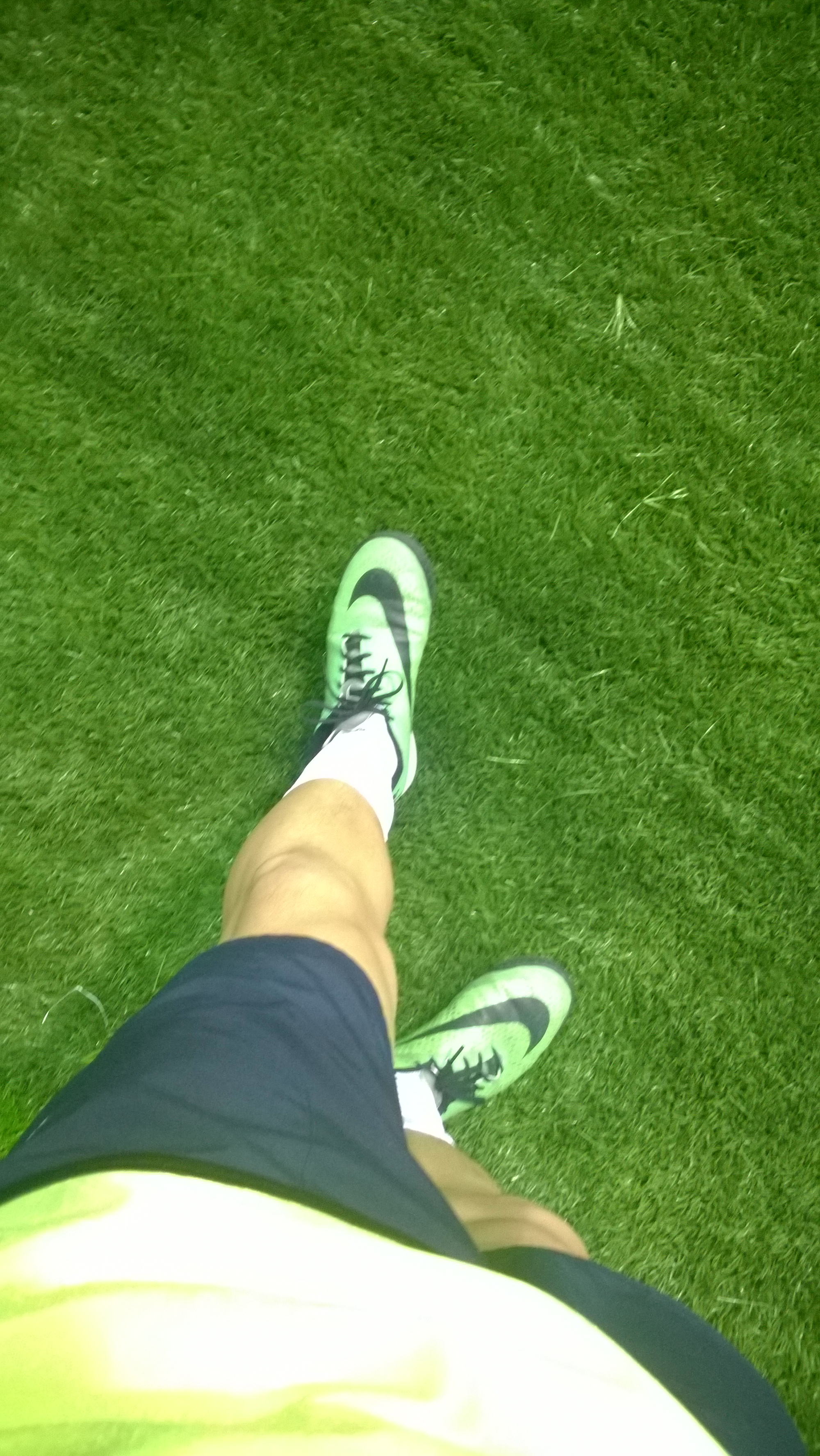 足球狗,足球狗之歌完整版