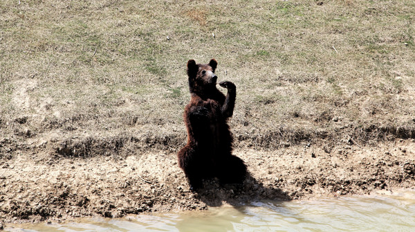 春游江淮请你来滁州版,春游江淮等您来