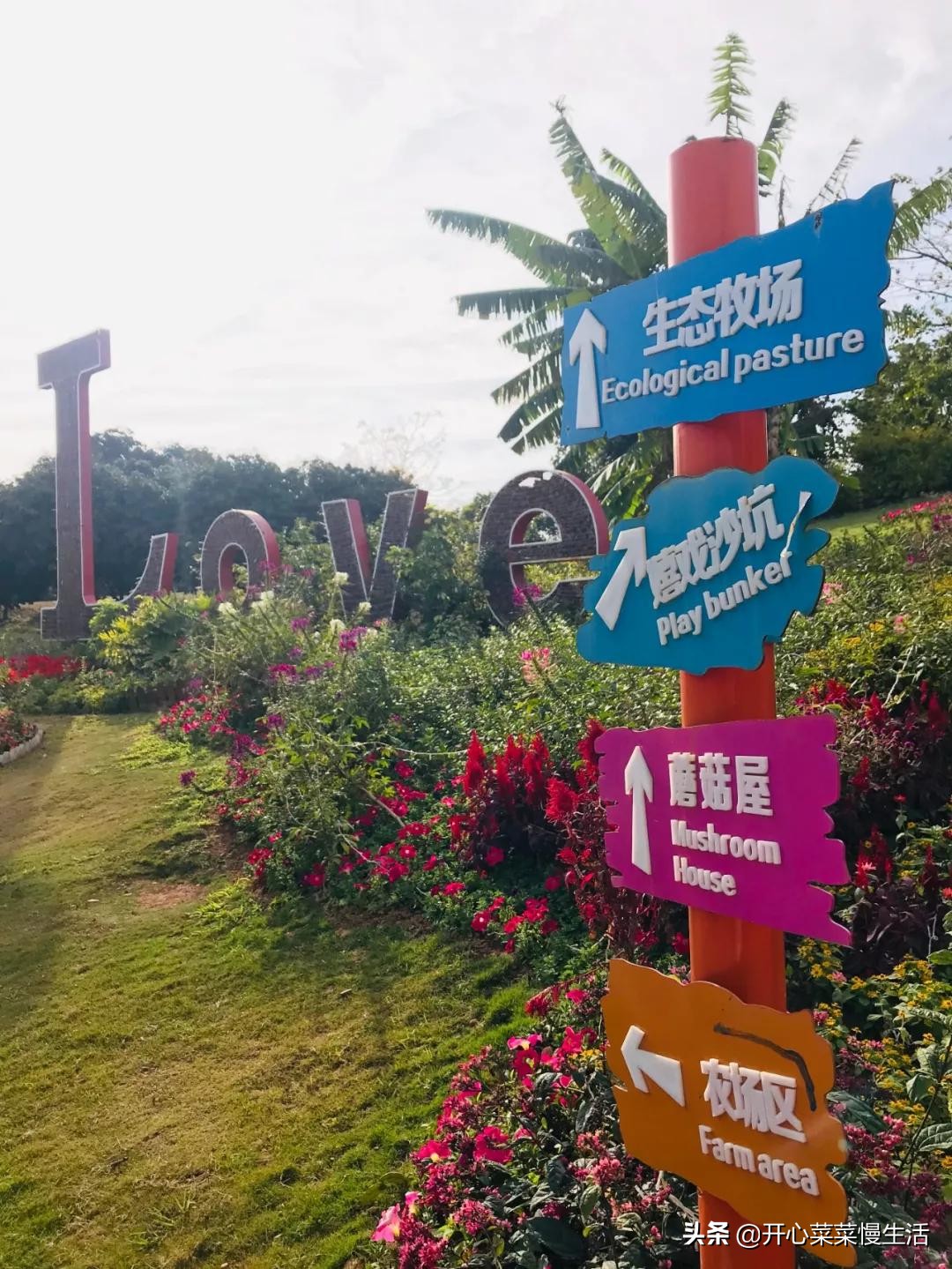 河源万绿湖江舍精品民宿,河源民宿旅游攻略