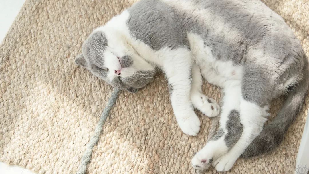 南山科技园有什么玩的,深圳南山科技园游玩