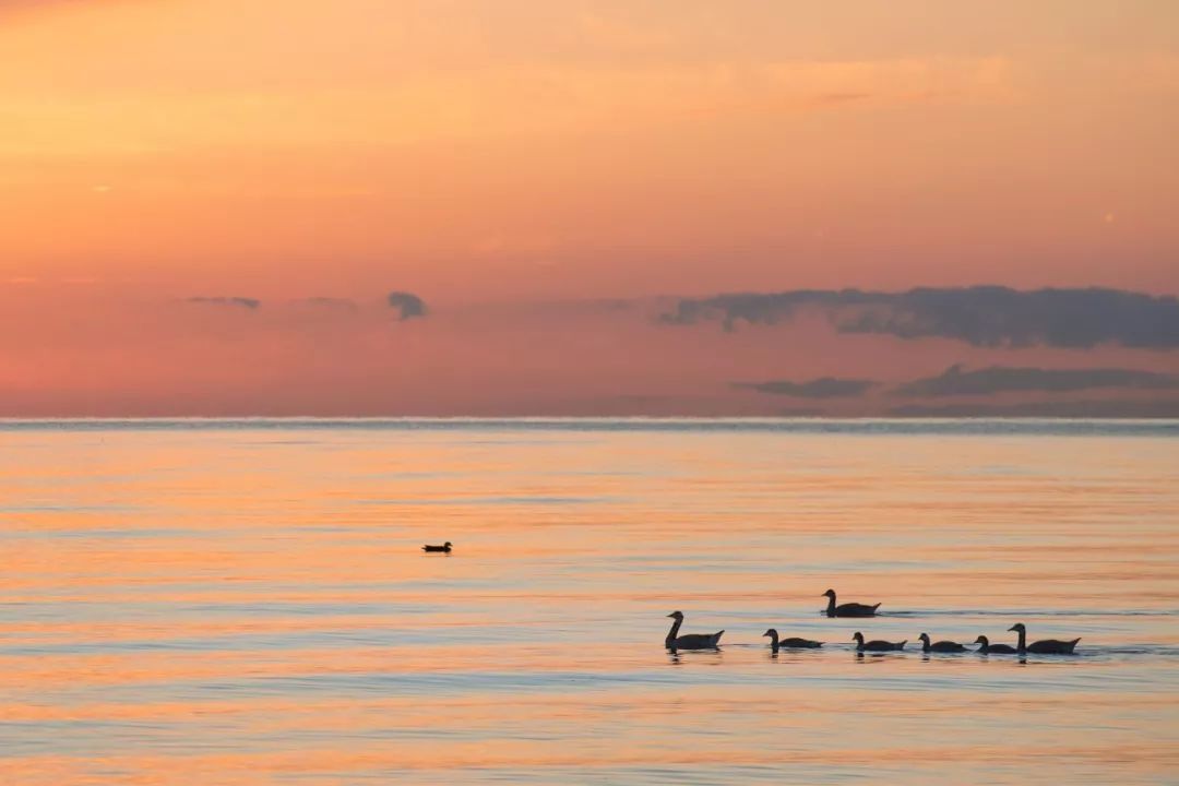 腹有诗书气自华精选200个千古名句,腹有诗书气自华200句值得背诵