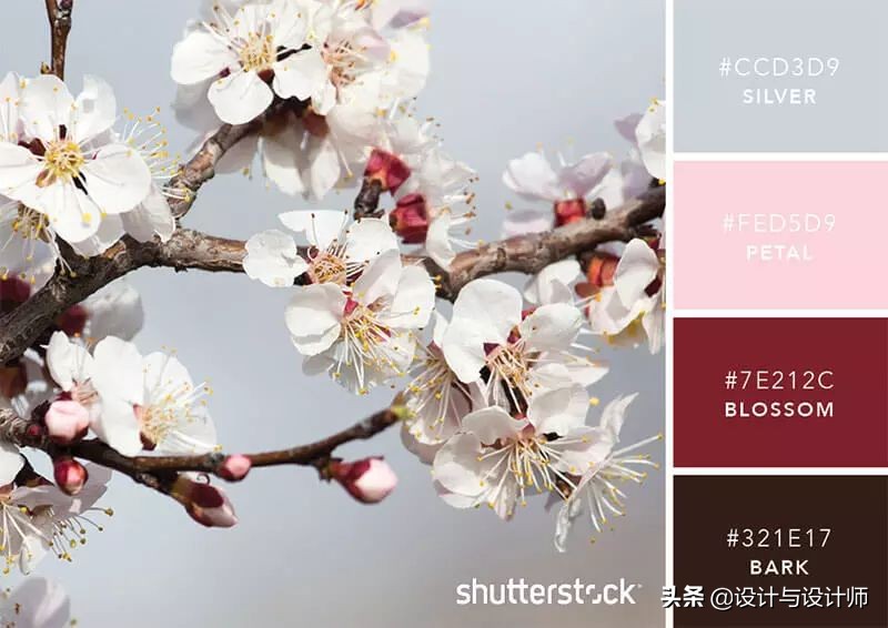 设计色彩总结200字左右,设计配色6种颜色