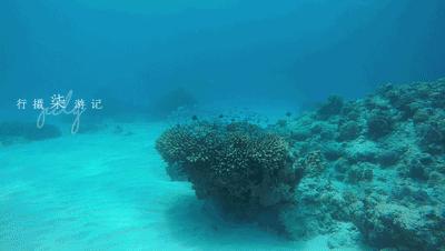 不只爱情演唱会,不只爱情粤语高潮版